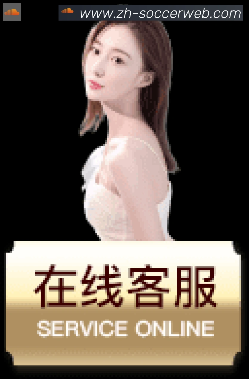 平台使命图